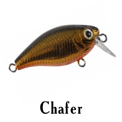 Chafer