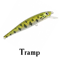 Tramp