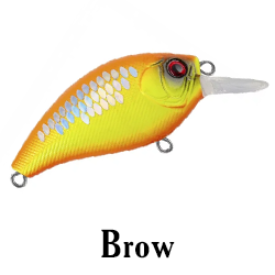 Brow