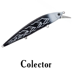 Colector