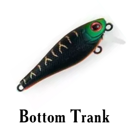 Bottom Trank