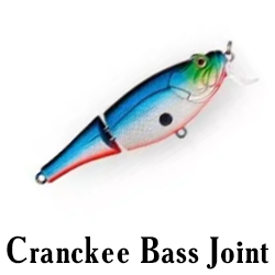 Cranckee Bass Joint