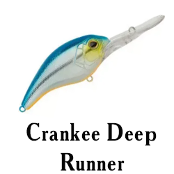 Crankee Deep Runner