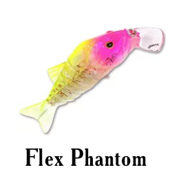 Flex Phantom