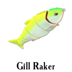 Gill Raker